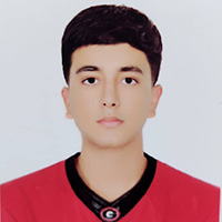 امیرحسین محمودی