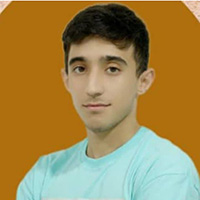 امیرمحمد حسنی